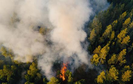 Waldbrand