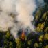 Waldbrand